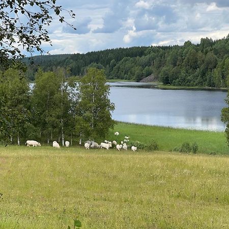 Penzion Asen Årjäng Exteriér fotografie