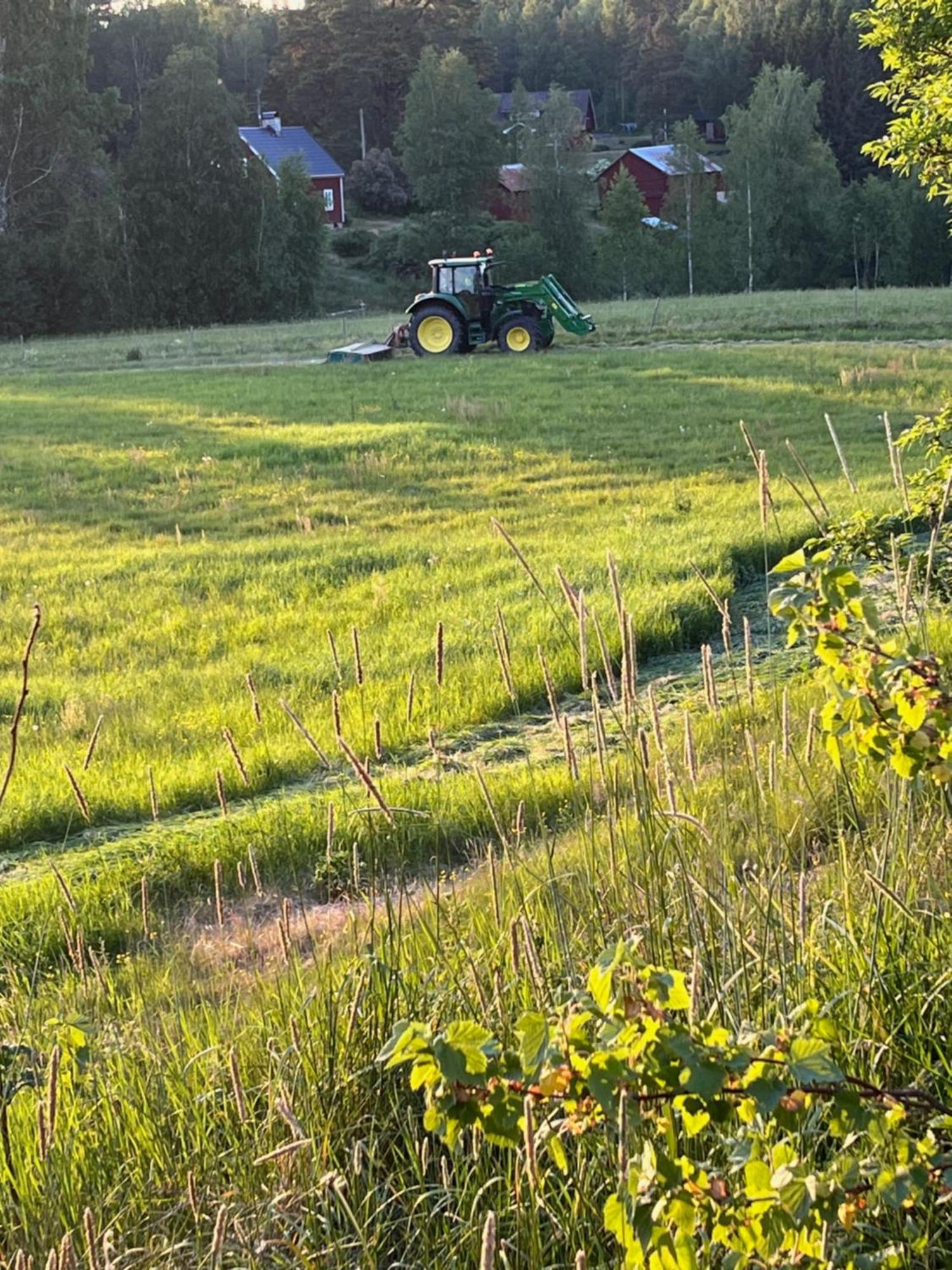 Penzion Asen Årjäng Exteriér fotografie